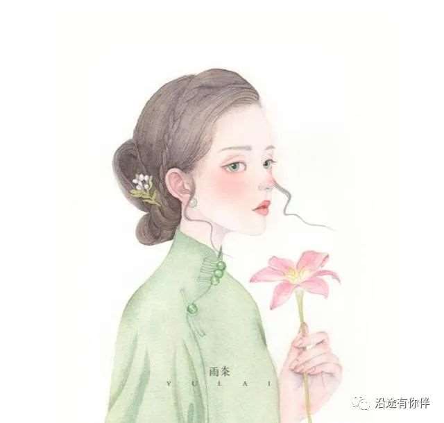 根是树的往事
