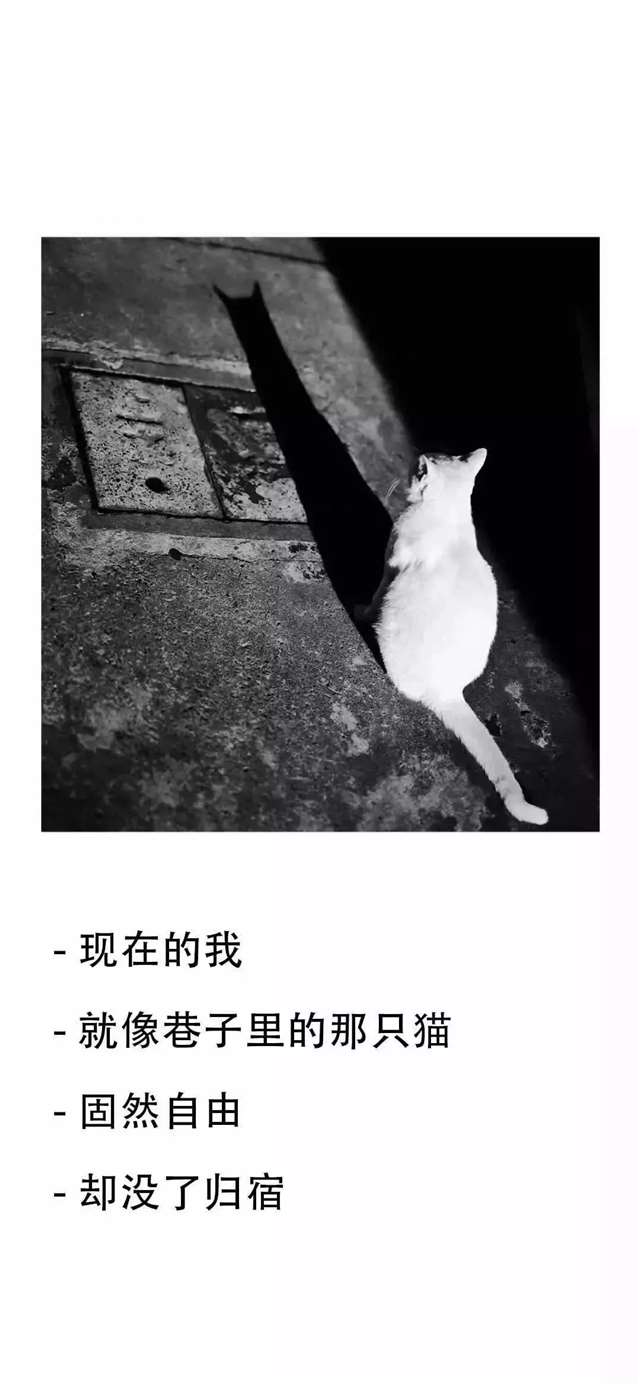 11岁男孩欠下巨额债务