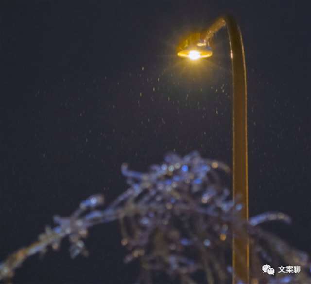 美人妻的沦陷雪 公乱小说目录阅读目录
