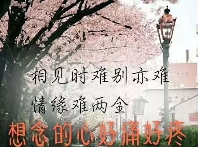 办公室里的6大公害