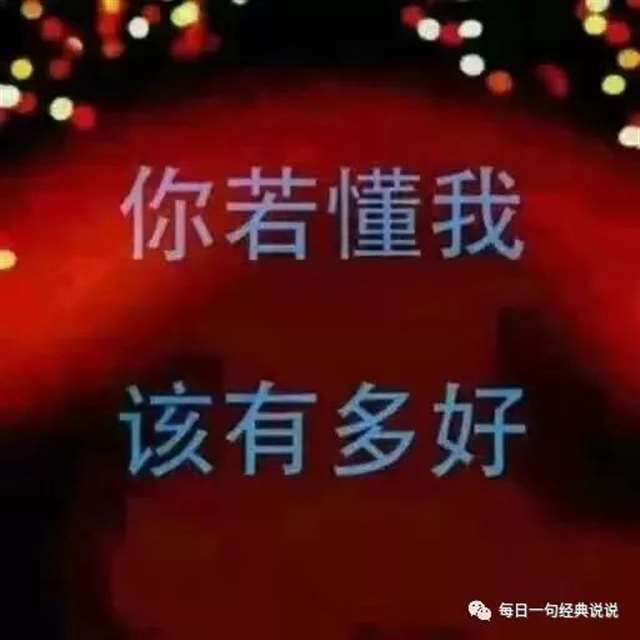 亦舒小说经典语录、亦舒经典语句