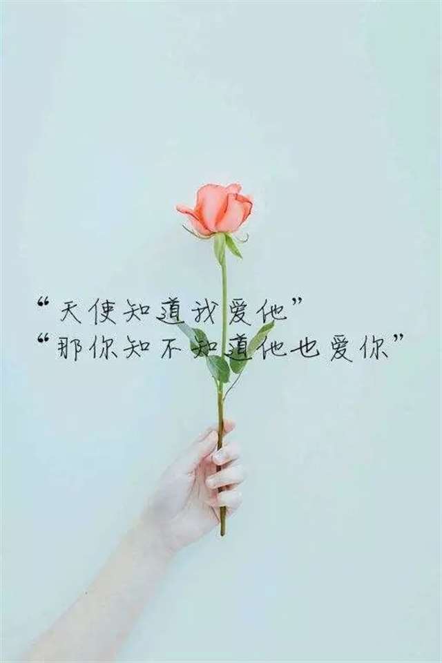 平静的力量