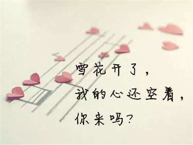 金鸟和银鸟