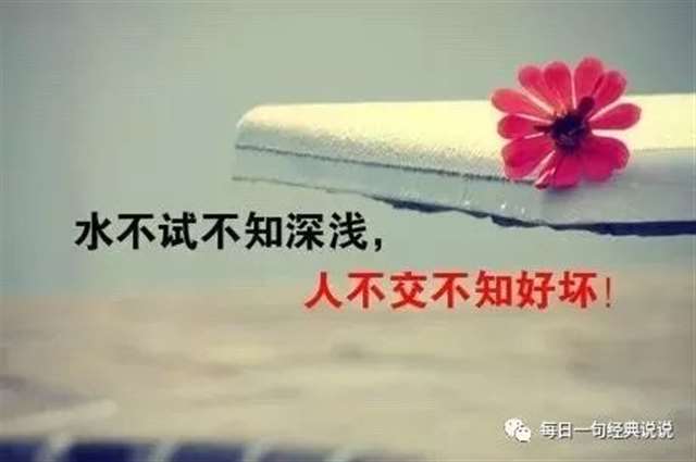 人面鬼树