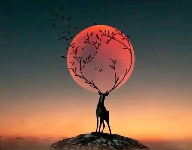浮光掠影，留不住的此间少年