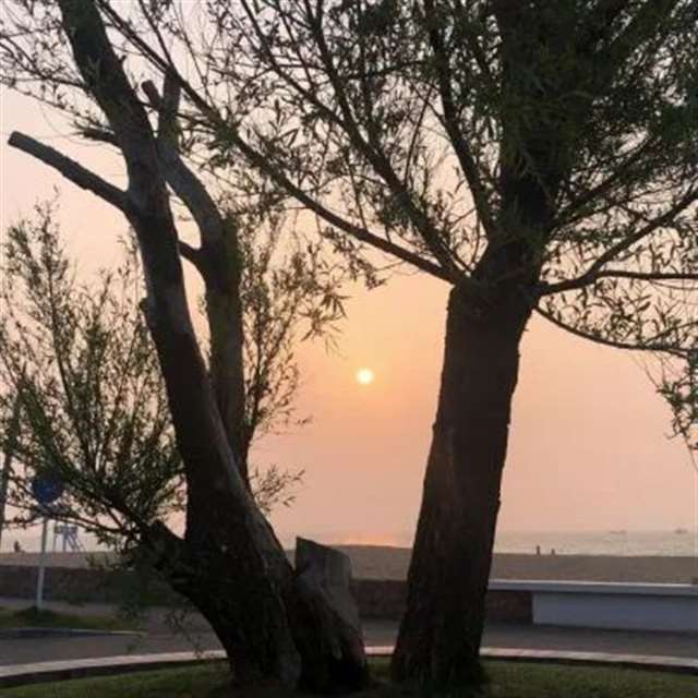 对面的神秘人