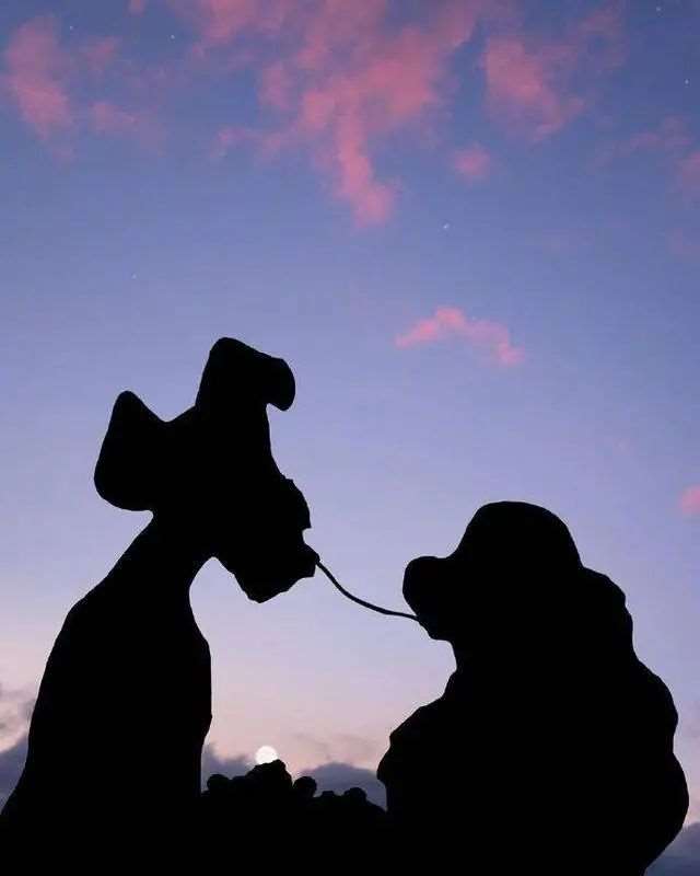 今夜，很美