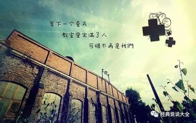 一棵竹子的耐心