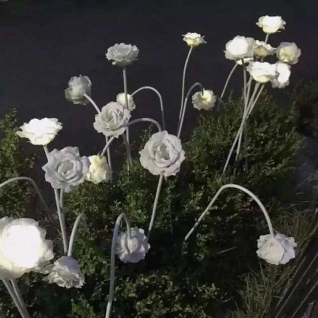 午夜陪我去接水