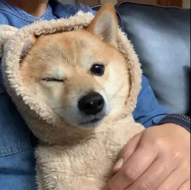 天堂来信