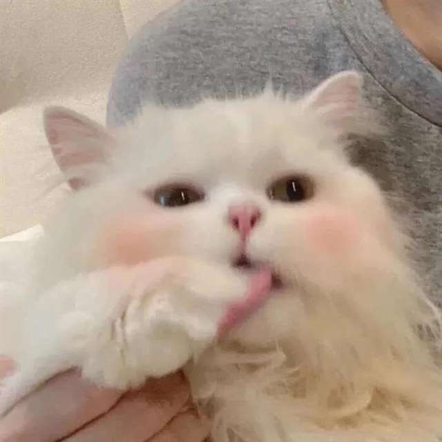 所谓负责,就是犯了错不像三岁小孩那样,只知道踢椅子