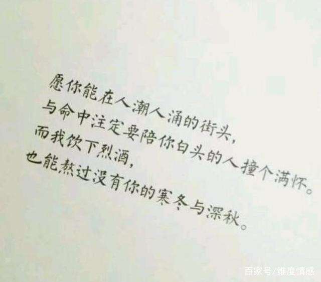 老外选书法