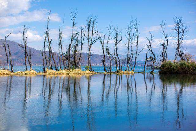 调侃生活的搞笑句子|生活一句话