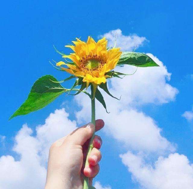 懂得拒绝，才不纠结