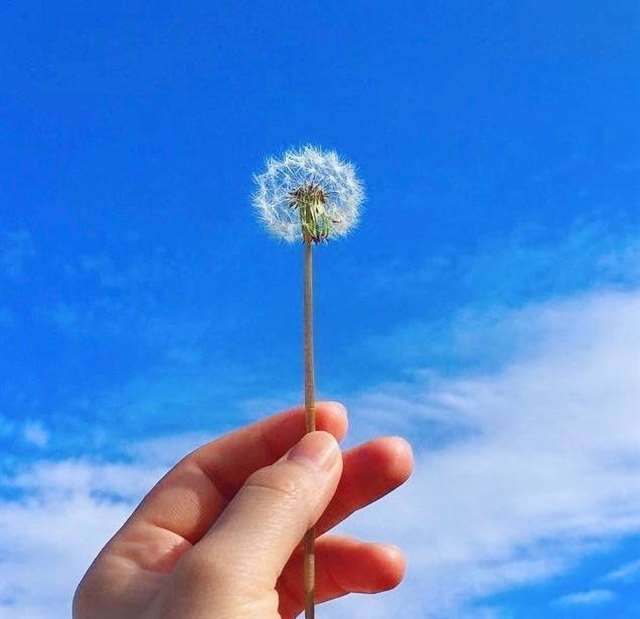 十七岁的天空