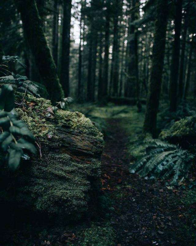 一个字就能懂我所有喜怒哀乐的人真的好喜欢.