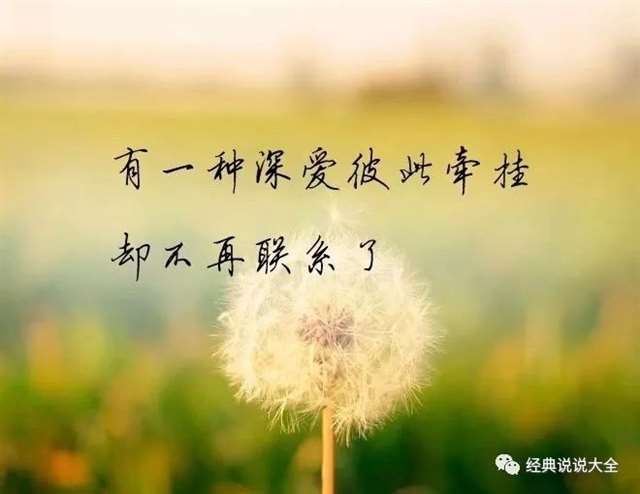 林文采心理课堂经典语录，值得收藏
