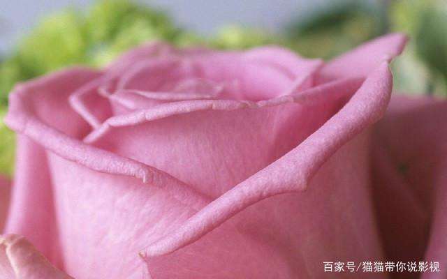 爱——就让他自在地生活