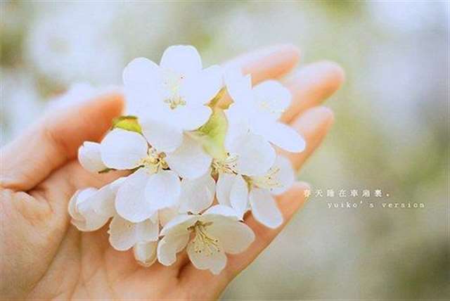 古代经典中的爱情