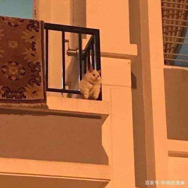 三更半夜之接鬼