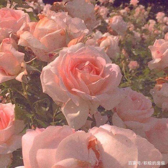 无论什么时候，男人的思考都是对的