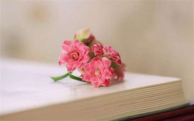 中了你那情花毒