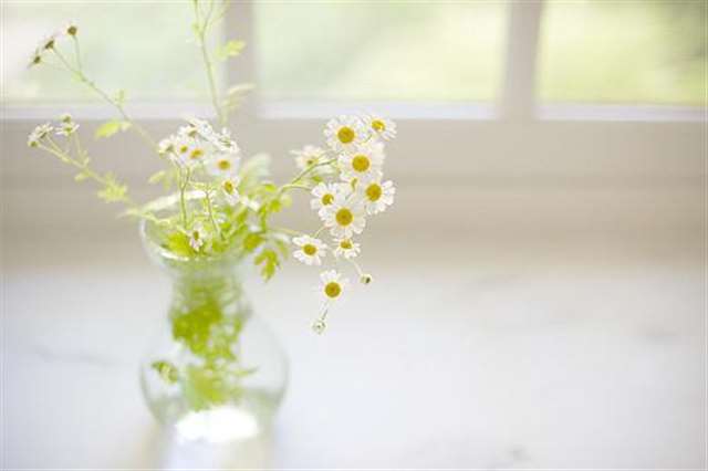春节随笔