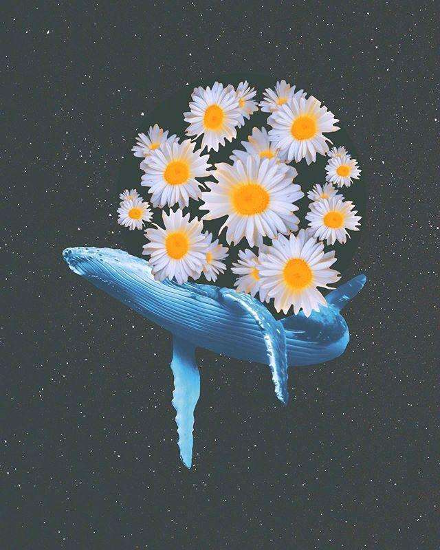 爱不讲相欠