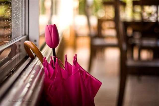 有关学校的笑话段子摘抄