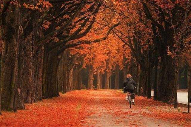 感恩文字图片_感恩身边有你