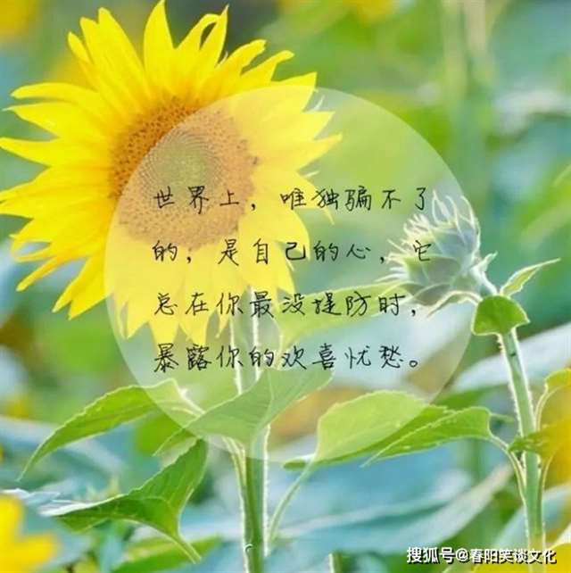 你对我好不好，我心里都清楚