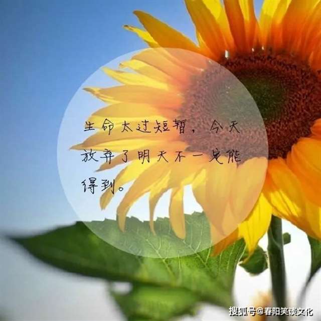 午夜来电