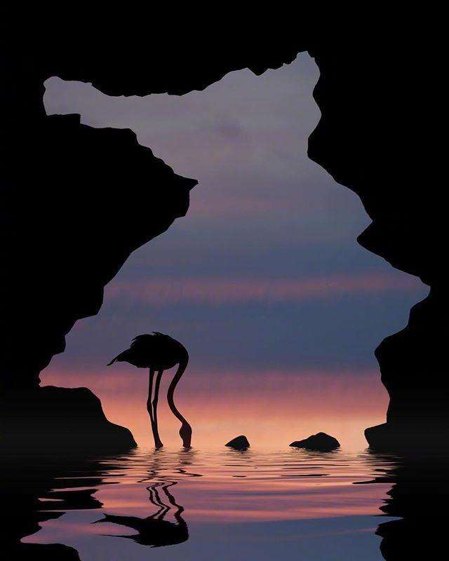 唯美句子精选摘抄|唯美短句