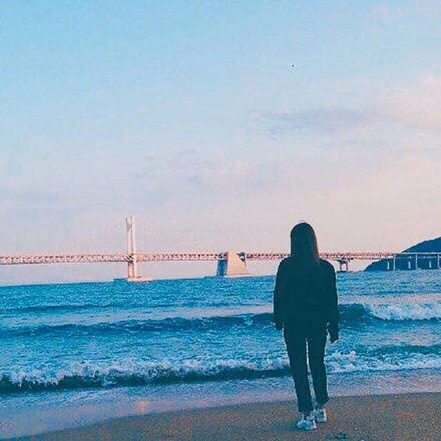死亡在沼泽里的丹顶鹤