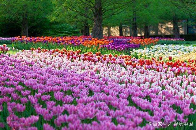 请和我在红尘相爱一场