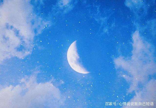 落叶红花
