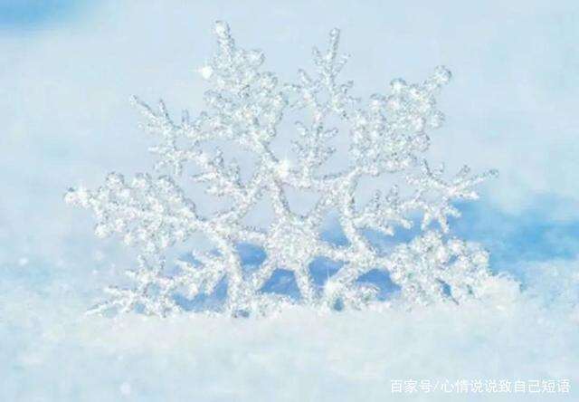 郑渊洁经典语录