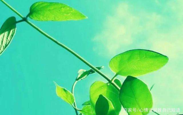 因为高考