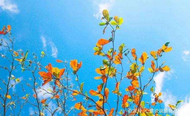 和女孩子搞笑聊天话题句子/搞笑短句