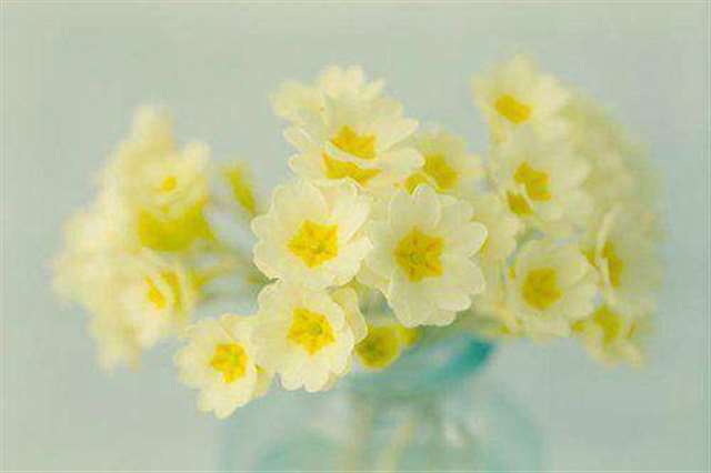 实验楼里面消失的女尸