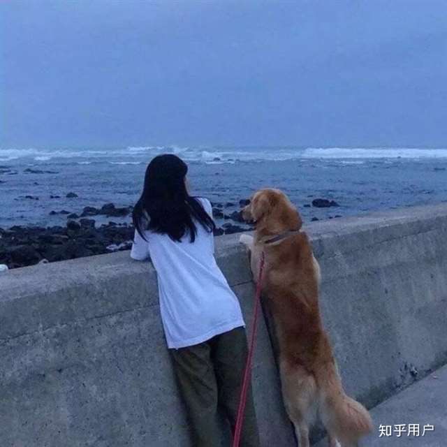 生活本来就是鲜花和荆棘并存