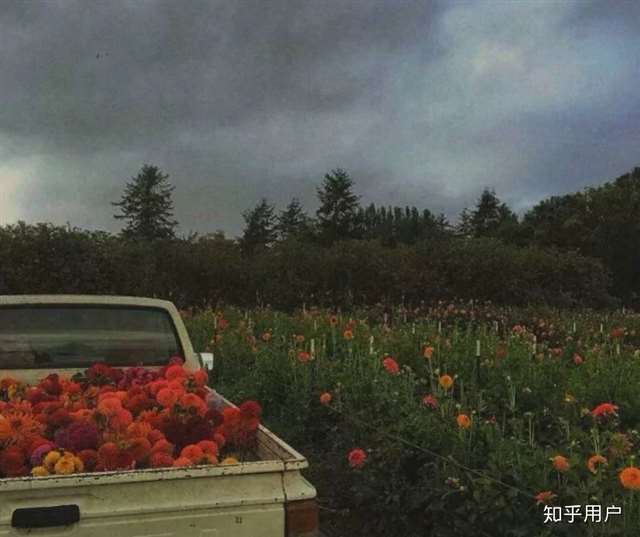 因为他们没有Q币