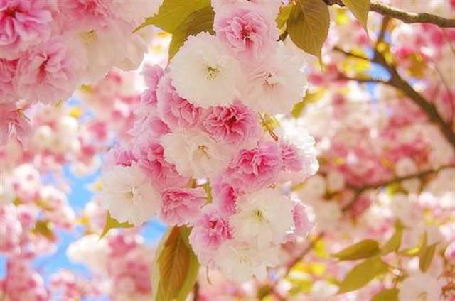 早安简与动态句子,早安短句