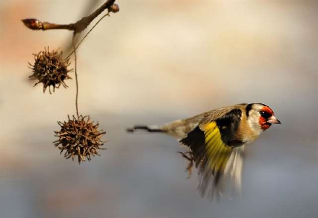 爆强的整人笑话句子❤搞笑句子