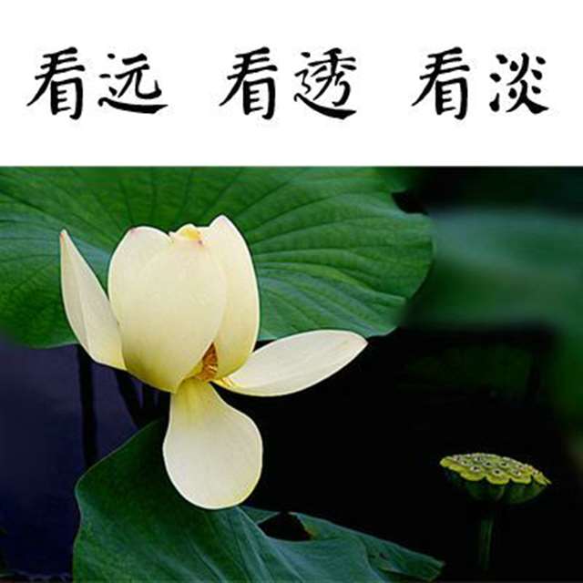 插翅难逃