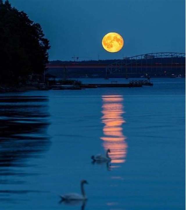青春的坟墓