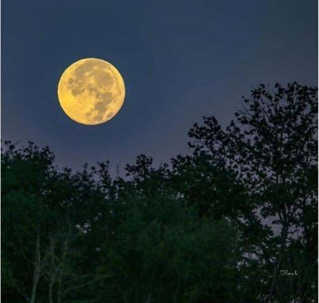 等待理想照进生活的间隙