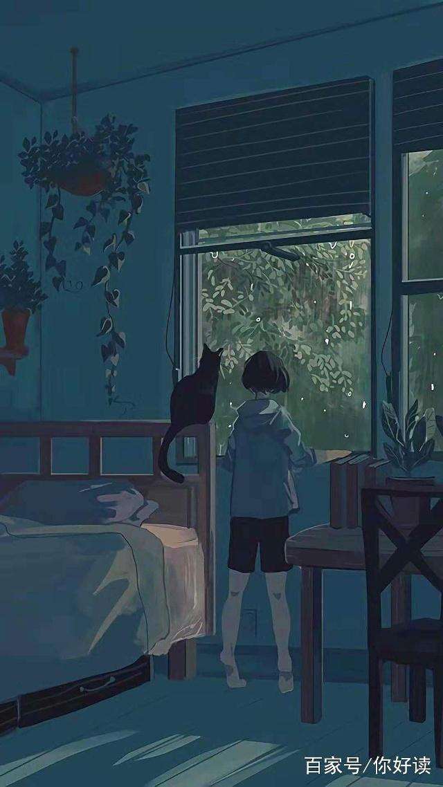 闹市里一只灵异的猫