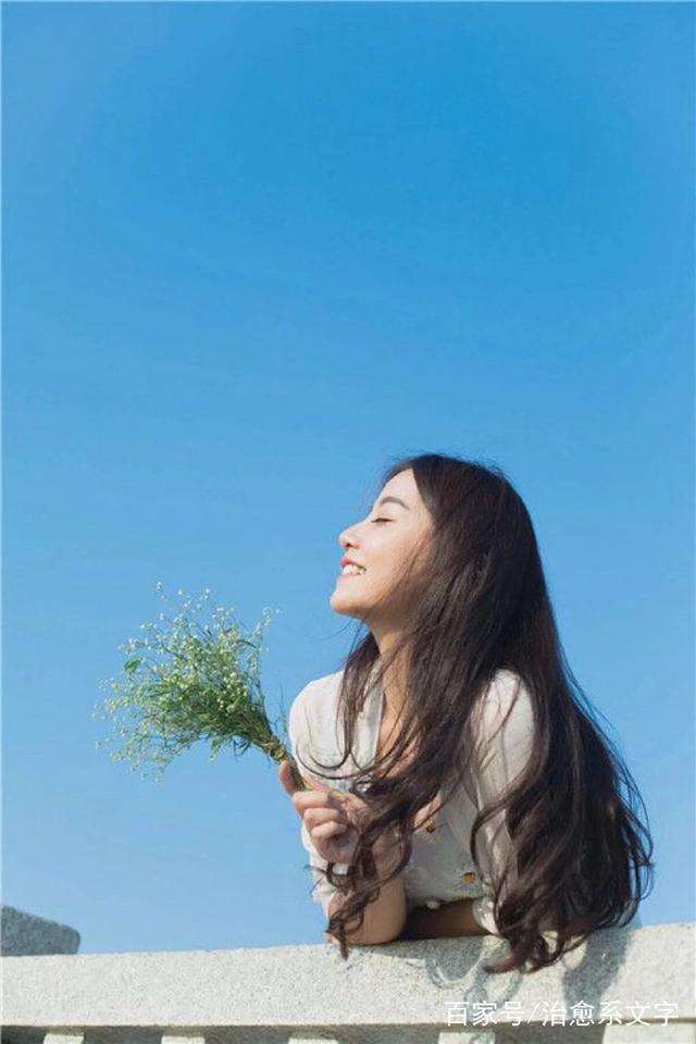 风雨后的玫瑰
