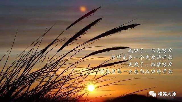 你的世界星光如初